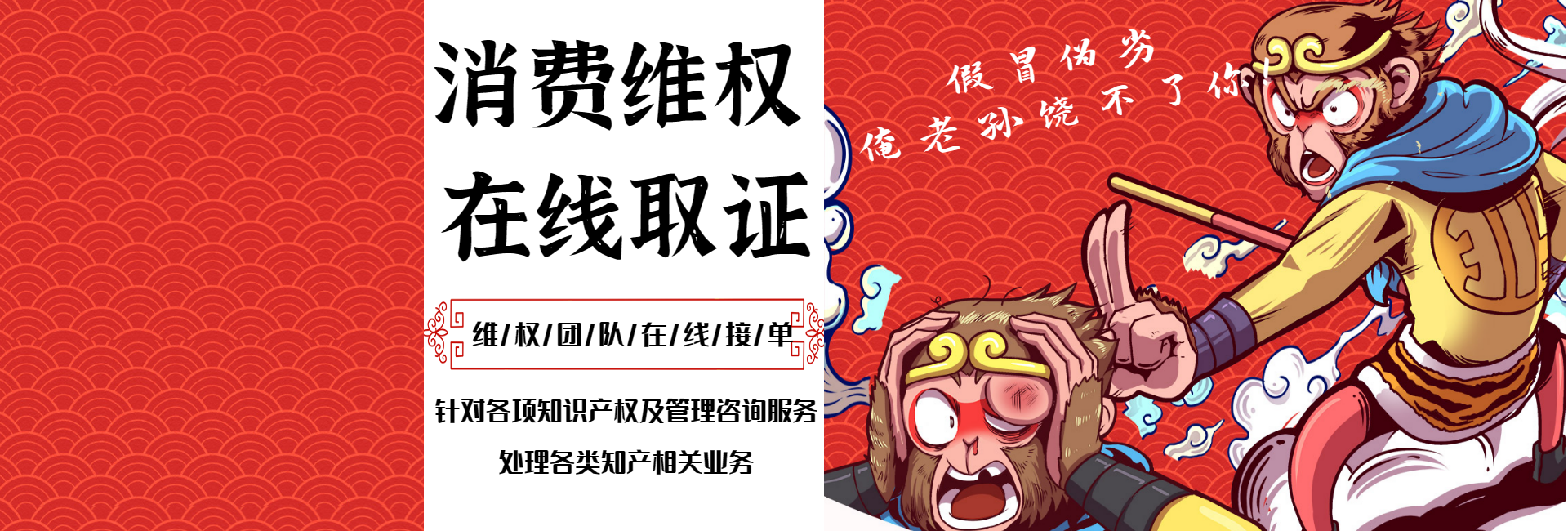 赝情信息科技（上海）有限公司-消费维权-知识产权-真伪鉴定